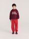 Худі Bobo Choses "Bobo Choses Embossed", бордовий B226AC115aw26 фото 2