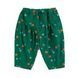 Брюки Bobo Choses "Blossom", зелений 38721602-aw27 фото 1