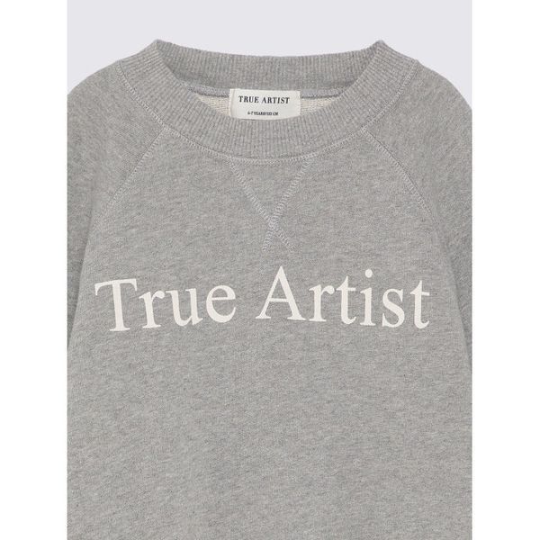 Світшот True Artist n&ordm;01 "Melange Gray", сірий T125MA0154 фото