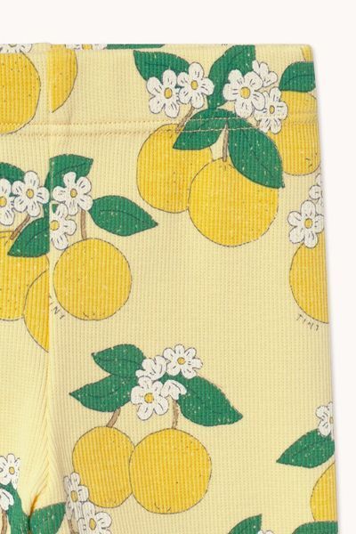 Легінси Tinycottons BABY "Oranges", жовтий SS26-1176 фото