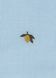 Сорочка Konges Slojd "FRAN", блакитний KS1053882 фото 4